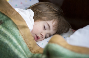 ../images/30fa1c2d7cc2636631303e7beb369ca4.jpg