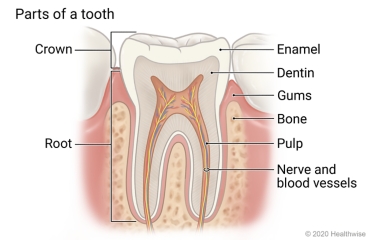 ../images/f18b28e34c5ae5b1ab46516abee26bb1.jpg
